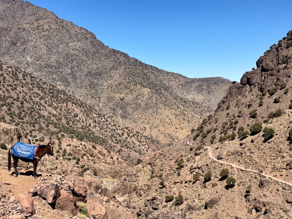 Mt. Toubkal Summer Trek