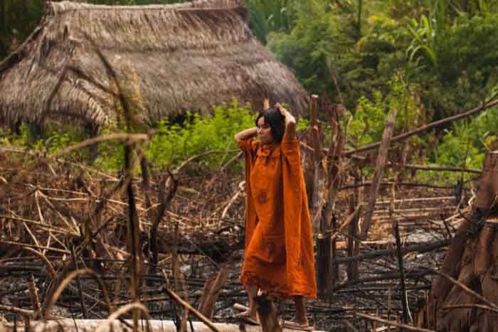 Rainforest - Cool Earth